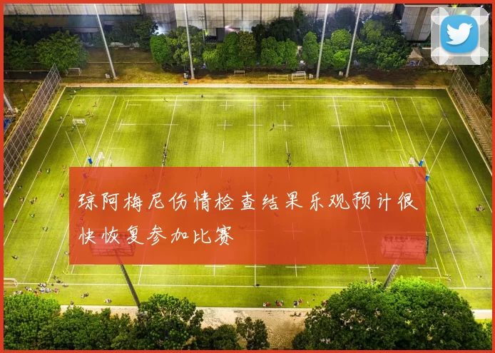 琼阿梅尼伤情检查结果乐观预计很快恢复参加比赛