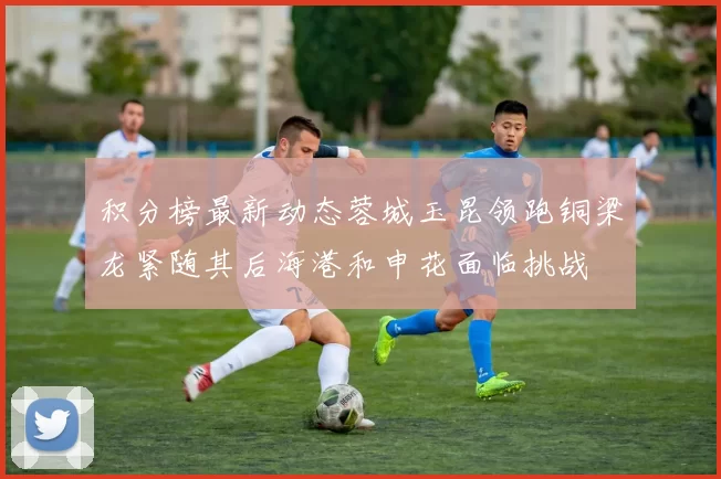 积分榜最新动态蓉城玉昆领跑铜梁龙紧随其后海港和申花面临挑战